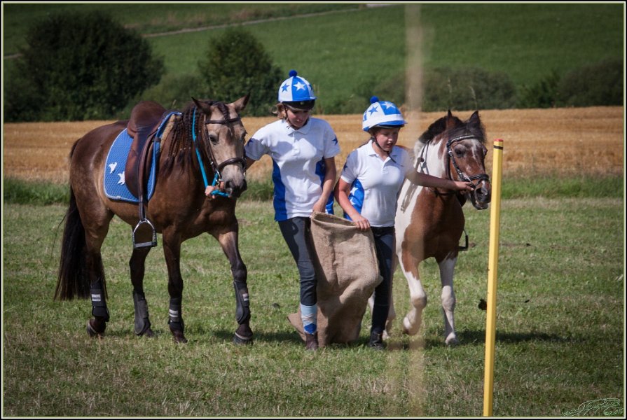 Mounted Games 302